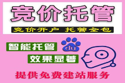 行业领先企业的SEM竞价代运营案例解析